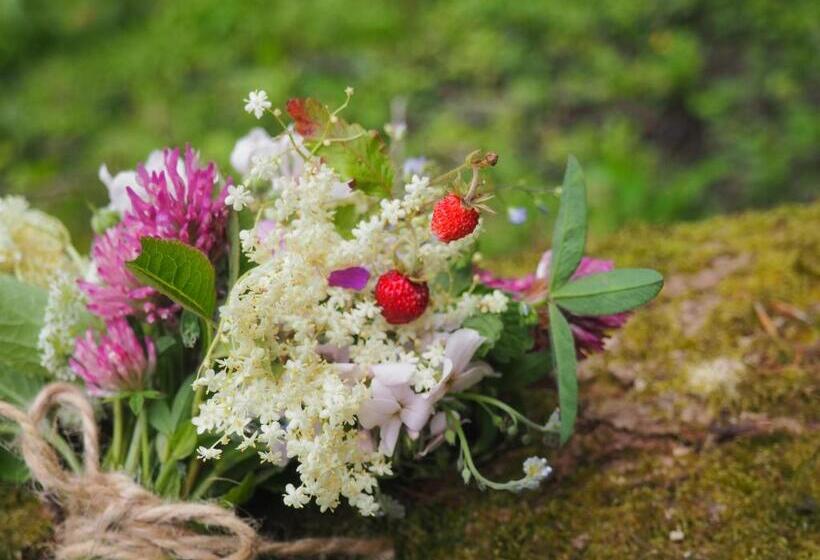 ベッドアンドブレックファースト Chambre D Hôtes De L île