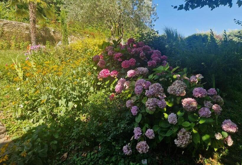 Bed and Breakfast Domaine Des Franchises   Beaujolais Village   Charme Et Authenticité Au Cœur Des Pierres Dorées