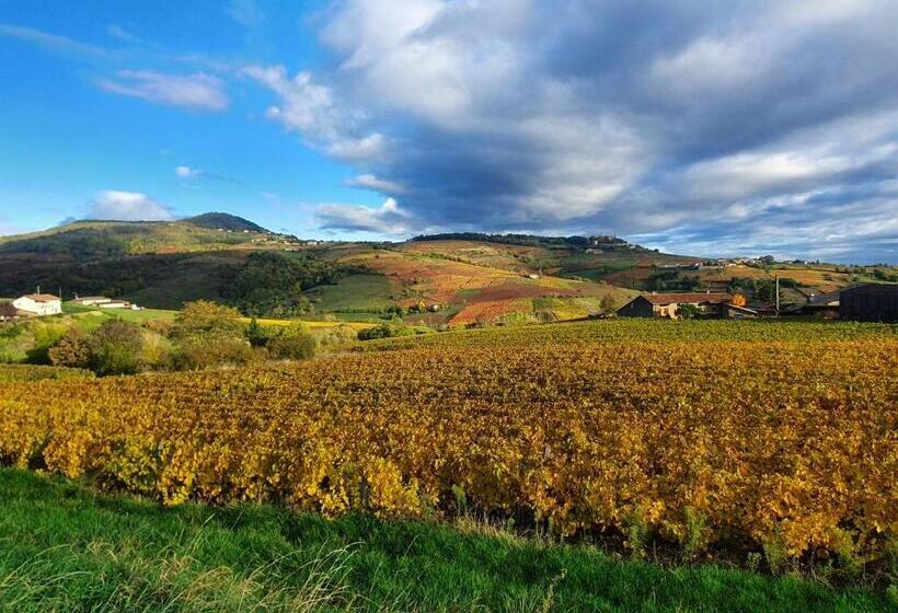 Bed and Breakfast Domaine Des Franchises   Beaujolais Village   Charme Et Authenticité Au Cœur Des Pierres Dorées