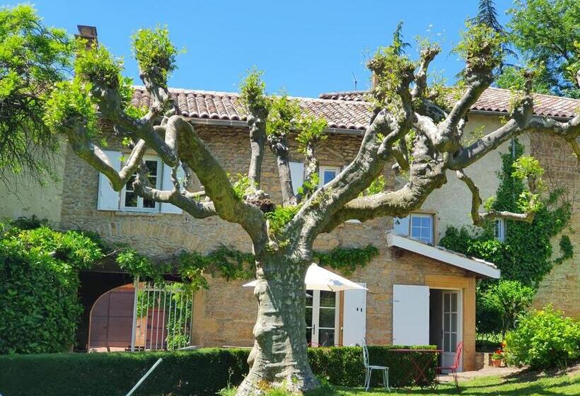 Bed and Breakfast Domaine Des Franchises   Beaujolais Village   Charme Et Authenticité Au Cœur Des Pierres Dorées