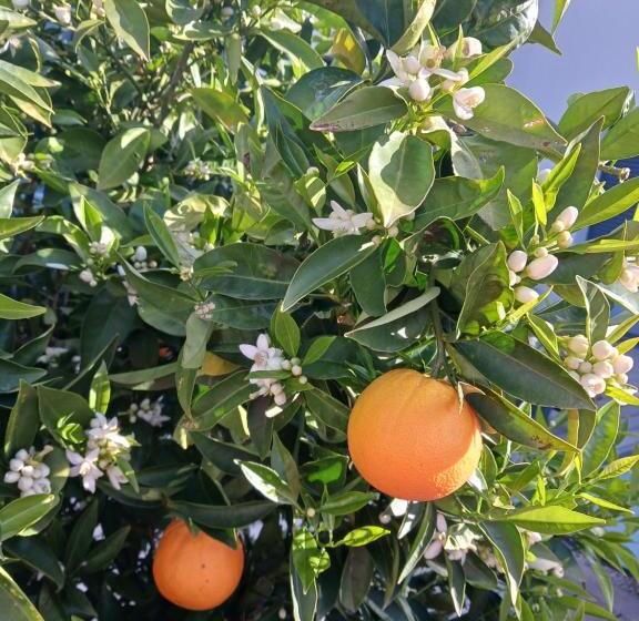 住宿加早餐  La Paillote 69