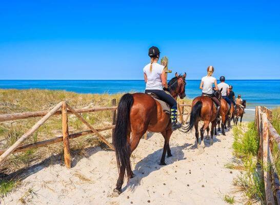 Bed and Breakfast La Tenuta I Fichi D India