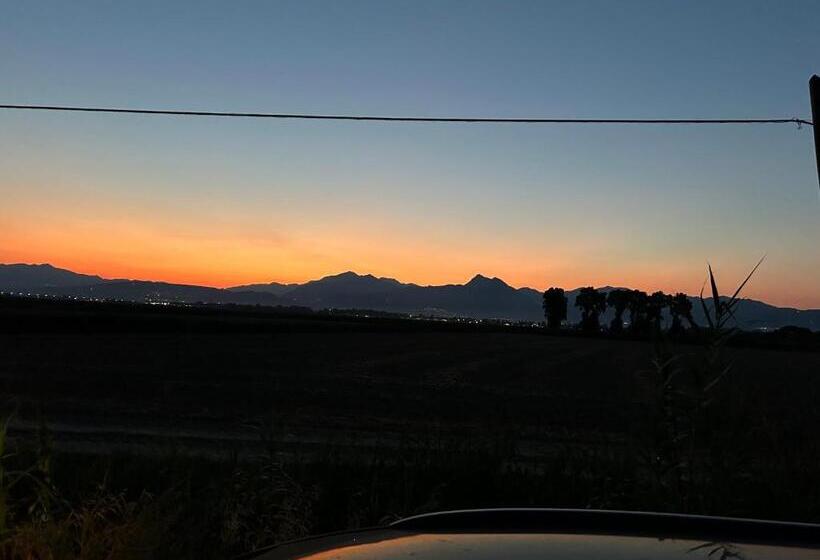 住宿加早餐  Masseria Novelli