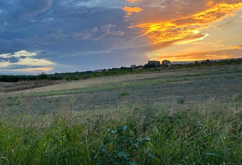 住宿加早餐  Masseria Novelli