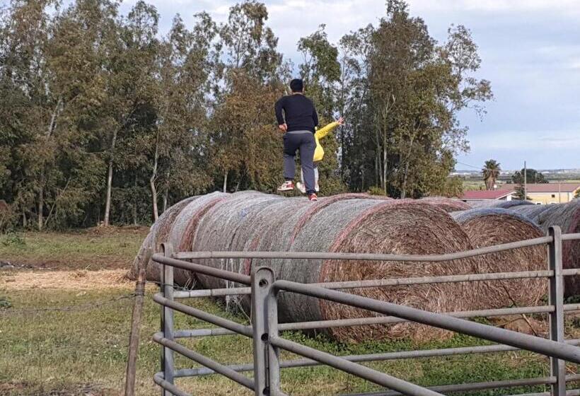 住宿加早餐  Masseria Novelli