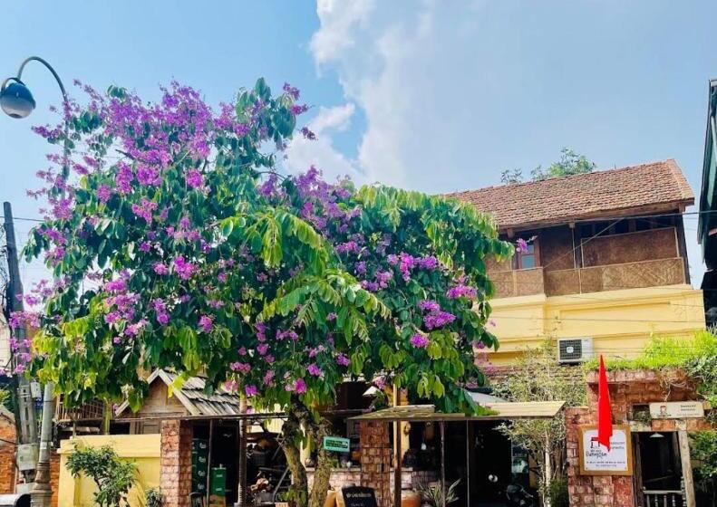 تختخواب و صبحانه đoài Homestay đường Lâm