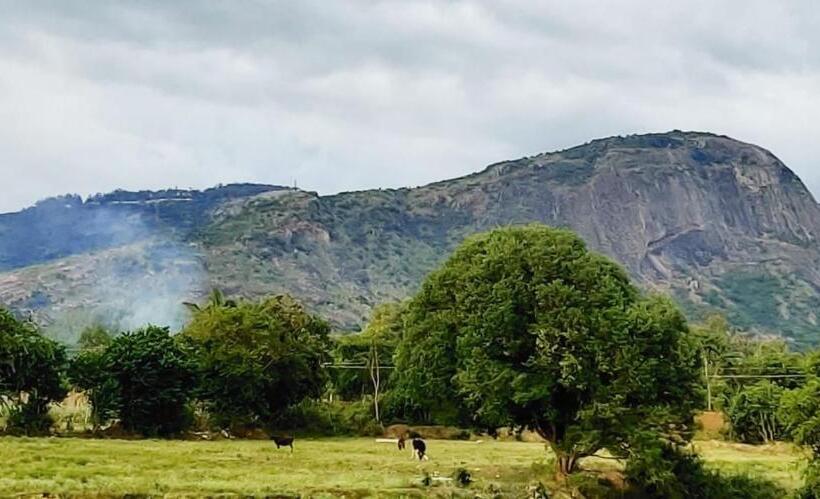 צימר Tuscan Breeze, Nandi Hills