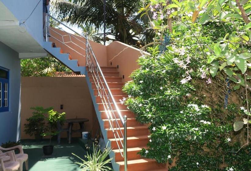 ベッドアンドブレックファースト Unique Sunrise Inn