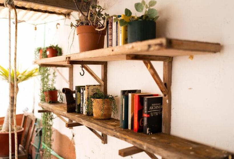 Doña Rose Surf Hostel