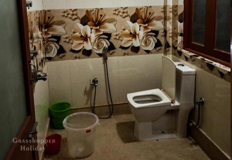 Grasshopper Jungle Queen Resort