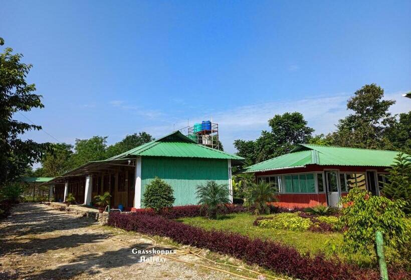 Grasshopper Jungle Queen Resort