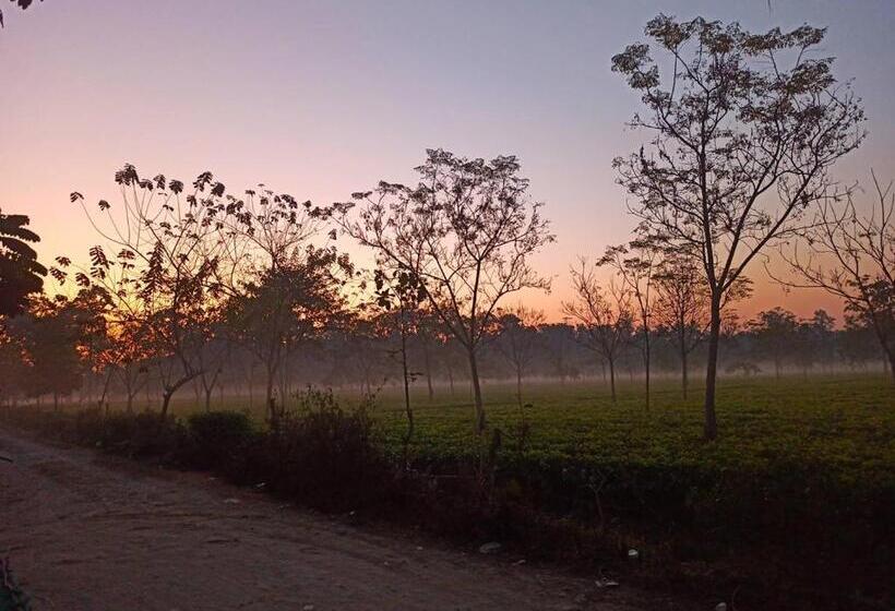 Grasshopper Jungle Queen Resort