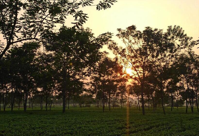 Grasshopper Jungle Queen Resort
