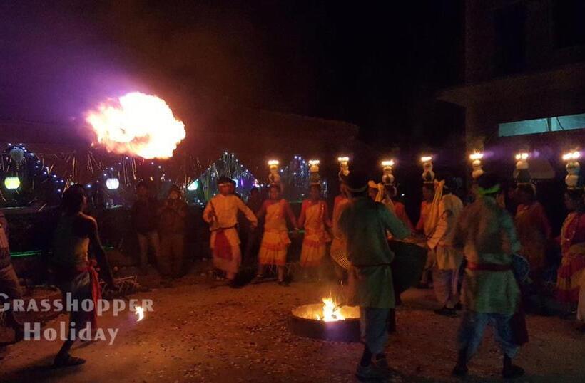 Grasshopper Jungle Queen Resort