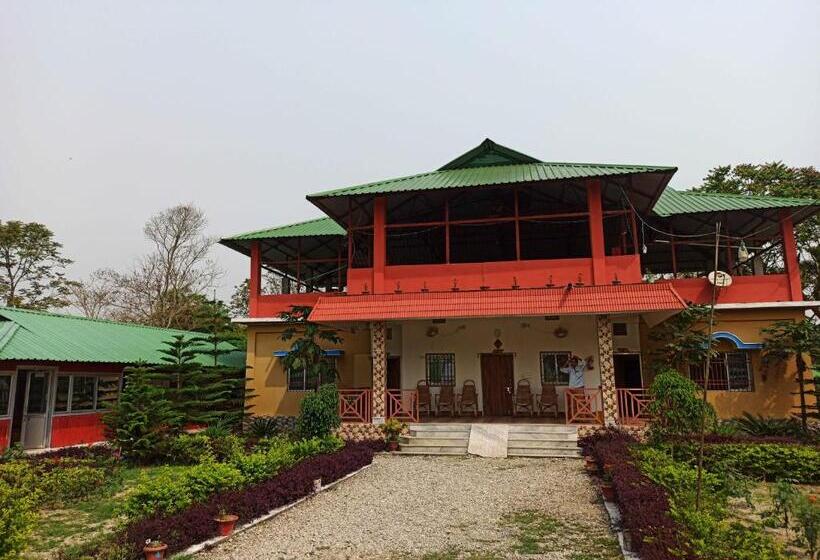 Grasshopper Jungle Queen Resort