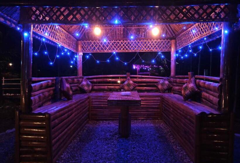 Grasshopper Jungle Queen Resort