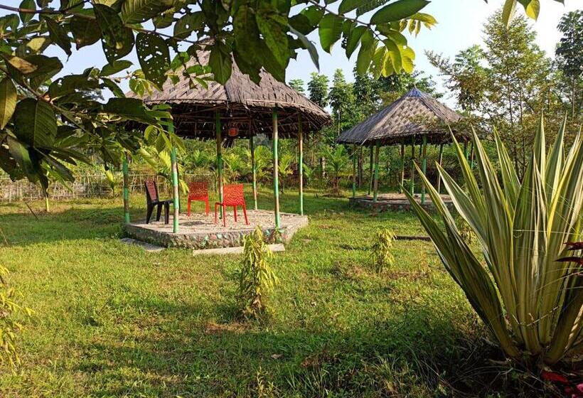 Grasshopper Jungle Queen Resort