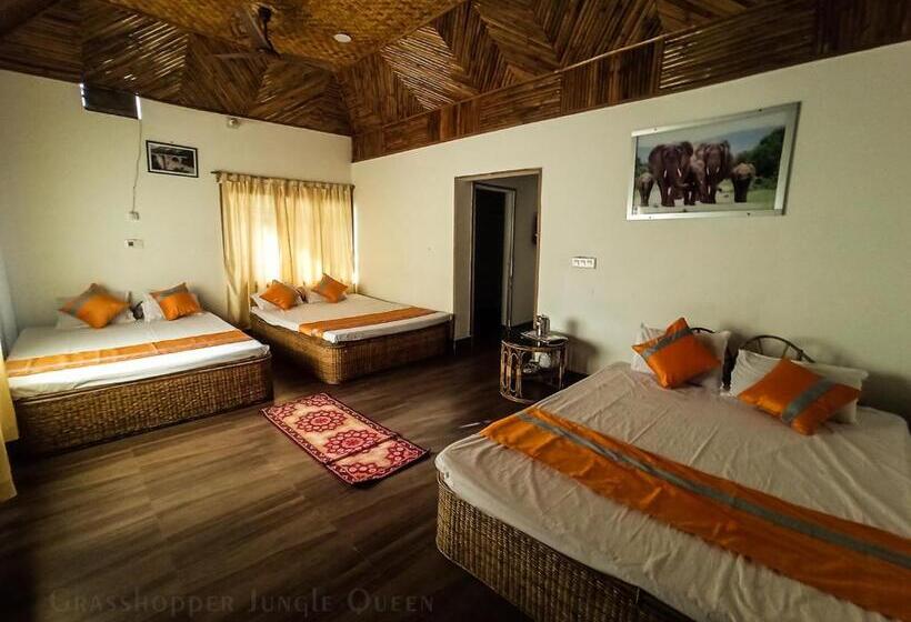 Grasshopper Jungle Queen Resort