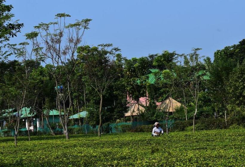 Grasshopper Jungle Queen Resort