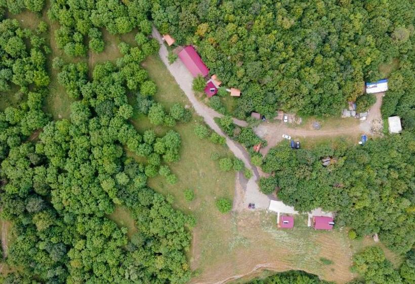 ホテル Enoqavanrezort