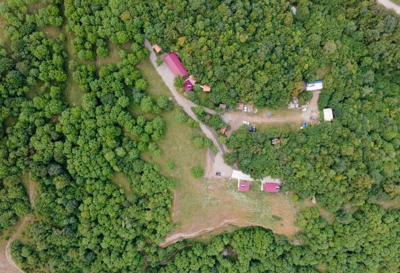 ホテル Enoqavanrezort