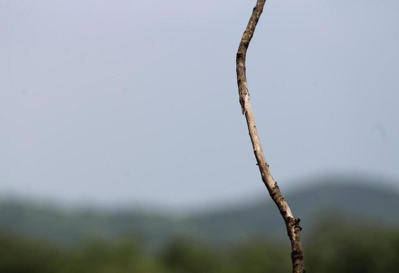 فندق Eshi Resorts And Restaurant   Bhimashankars Jungle Luxury Resort