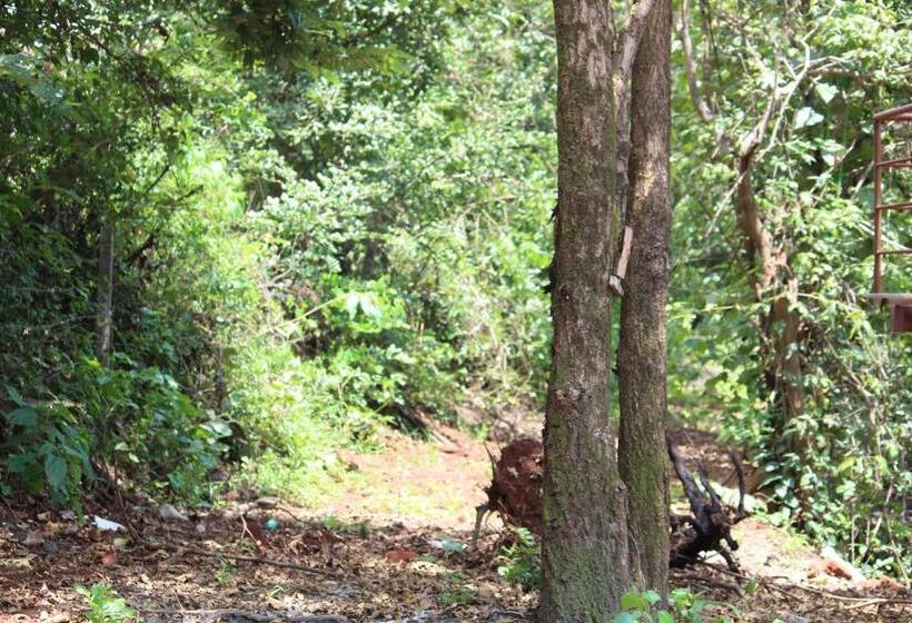 فندق Eshi Resorts And Restaurant   Bhimashankars Jungle Luxury Resort