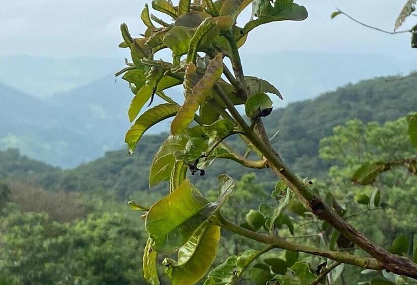 فندق Eshi Resorts And Restaurant   Bhimashankars Jungle Luxury Resort