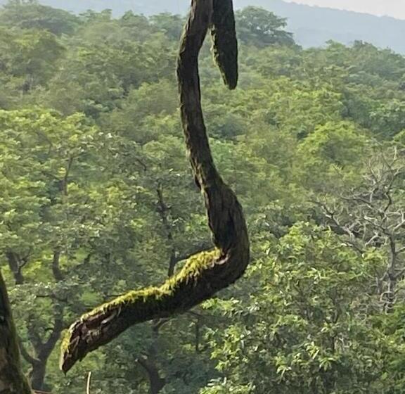 فندق Eshi Resorts And Restaurant   Bhimashankars Jungle Luxury Resort