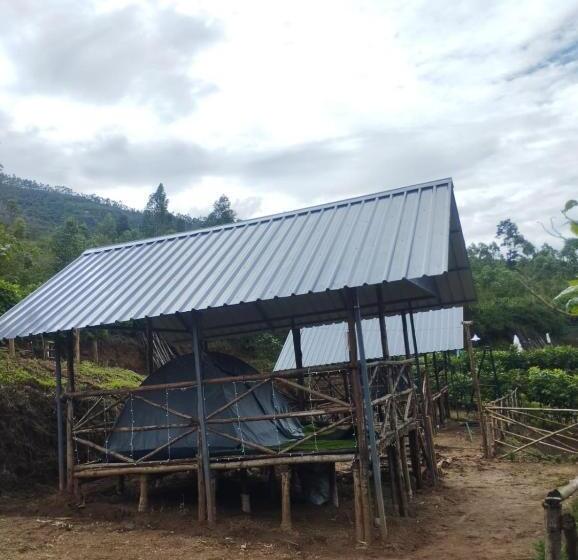 Отель Hazy Mount Vattavada