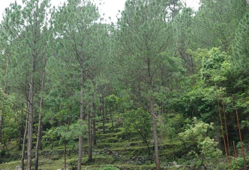 فندق Maulyar Forest Resort