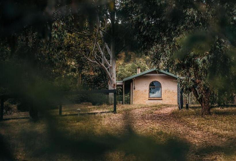 فندق Tathra Cottage