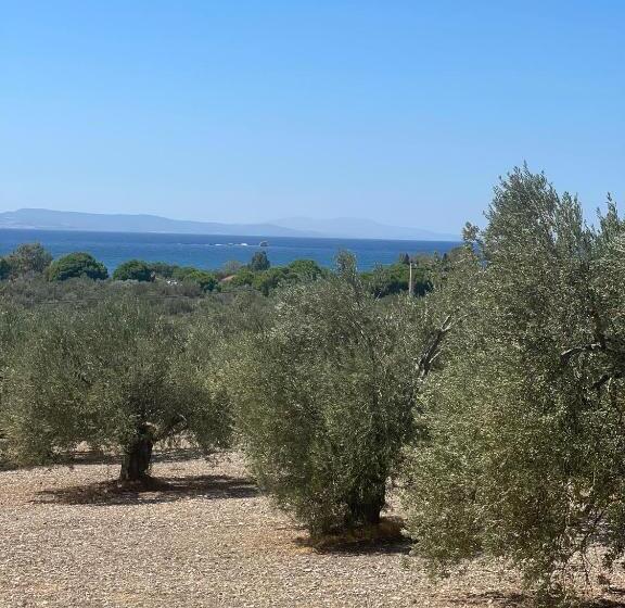 ホテル Vrasna Houses