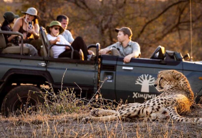 בית מלון כפרי Ximuwu Safari Lodge