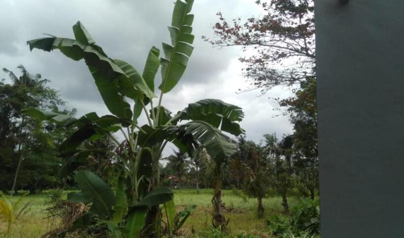 פנסיון Cahyachaya House