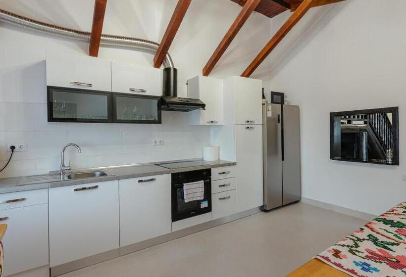 بنسيون Casa Perla Vlădesei