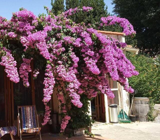 膳宿费 Chambre Dans Mas Centre Ville