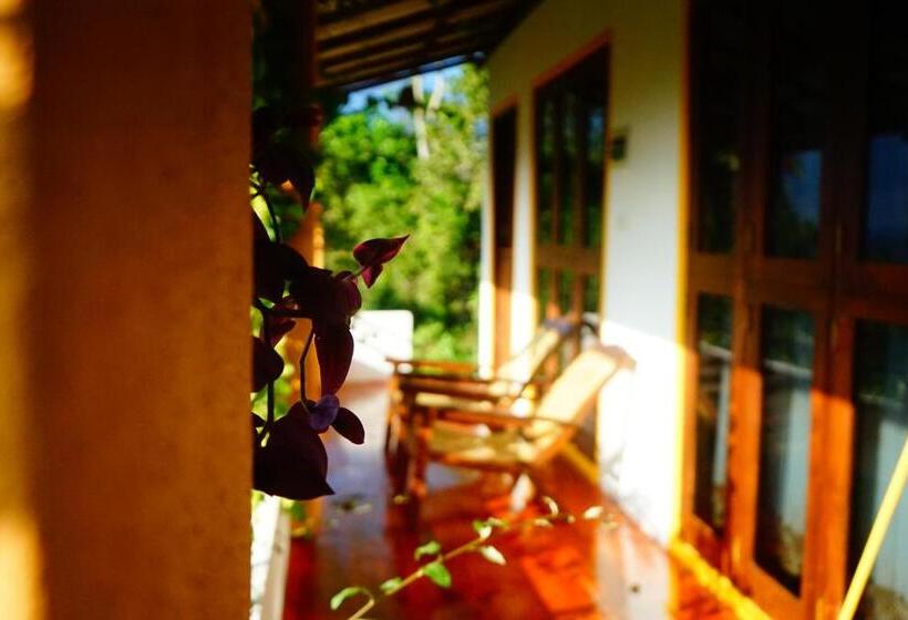 ペンション Cinnamon Leaf Villa