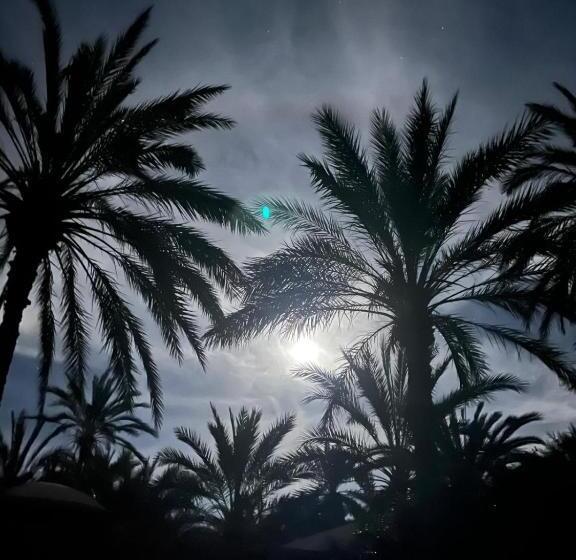 פנסיון Dar Tozria