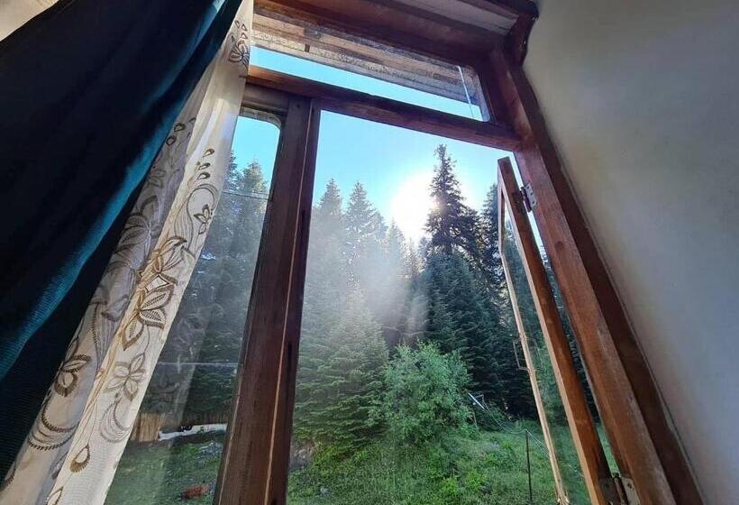 پانسیون Family Inn Glola