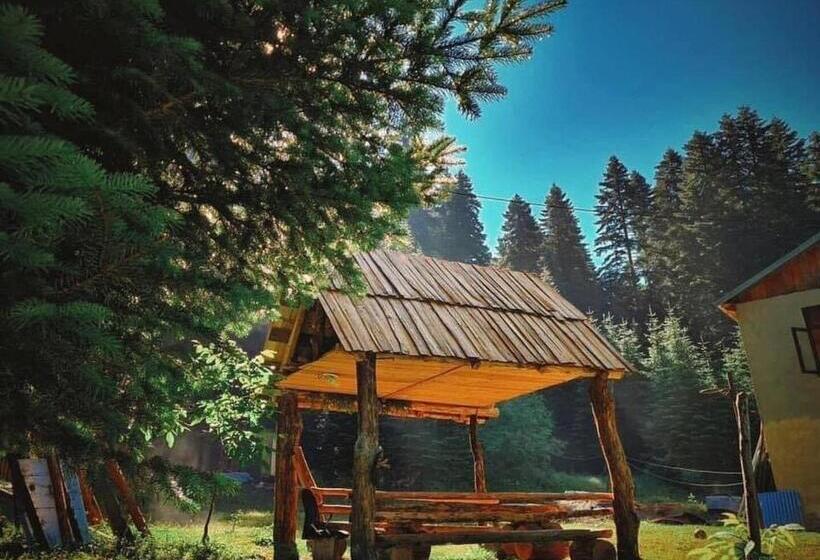 پانسیون Family Inn Glola