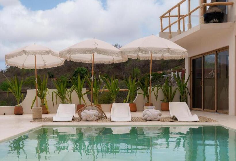 بنسيون Hostal Xeno