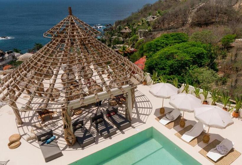 بنسيون Hostal Xeno