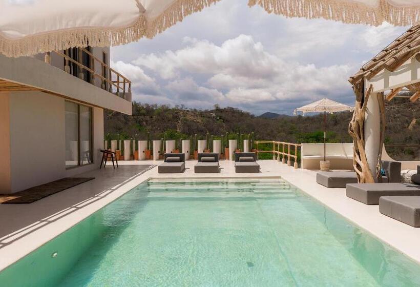 بنسيون Hostal Xeno