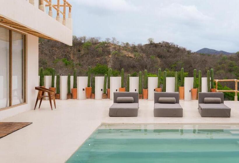 بنسيون Hostal Xeno