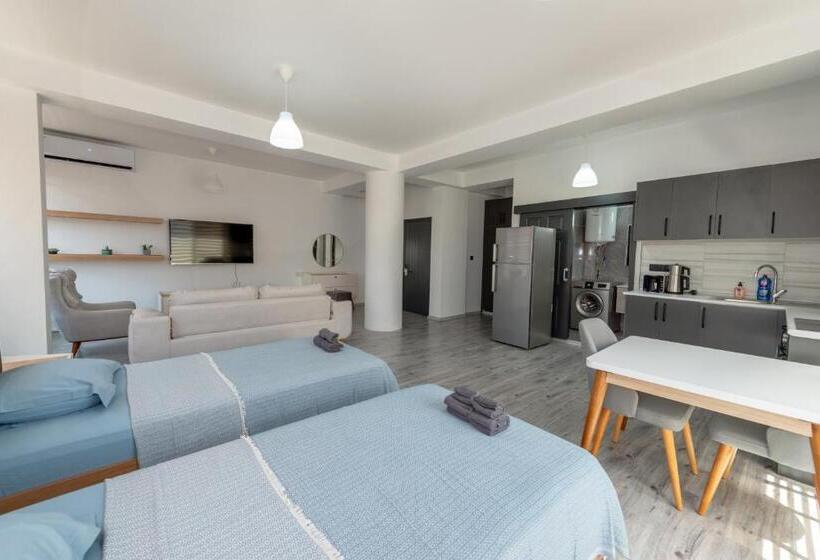 Пансион Nicosia Suites