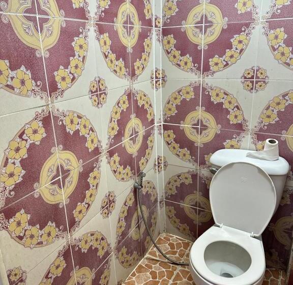 بنسيون Noahs Ark Suites