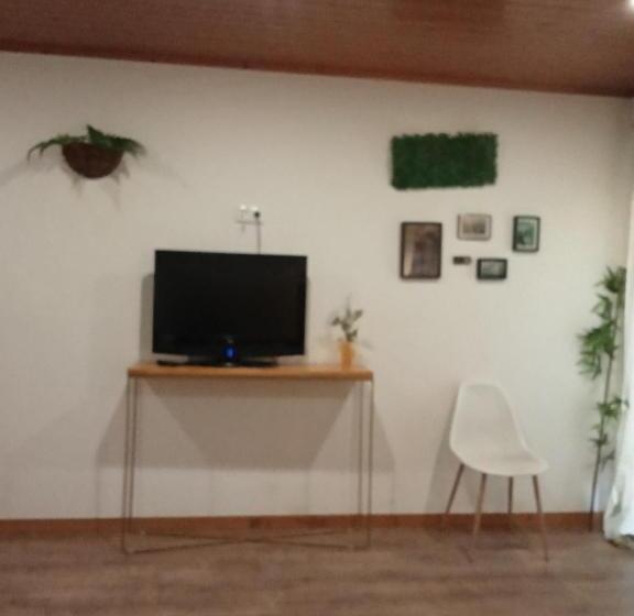 펜션 Passadiços Do Paiva E Ponte 516 Rooms