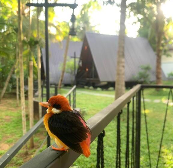 펜션 Rustic Cottages Udawalawe