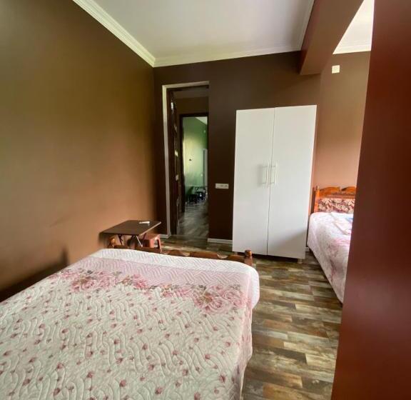 پانسیون Totoro